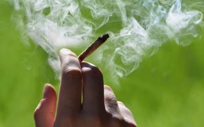 Consumo di cannabis in aumento: quali sono le conseguenze sulla salute mentale?