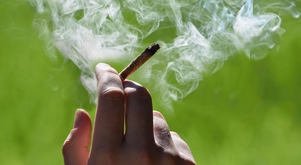 Consumo di cannabis in aumento: quali sono le conseguenze sulla salute mentale?